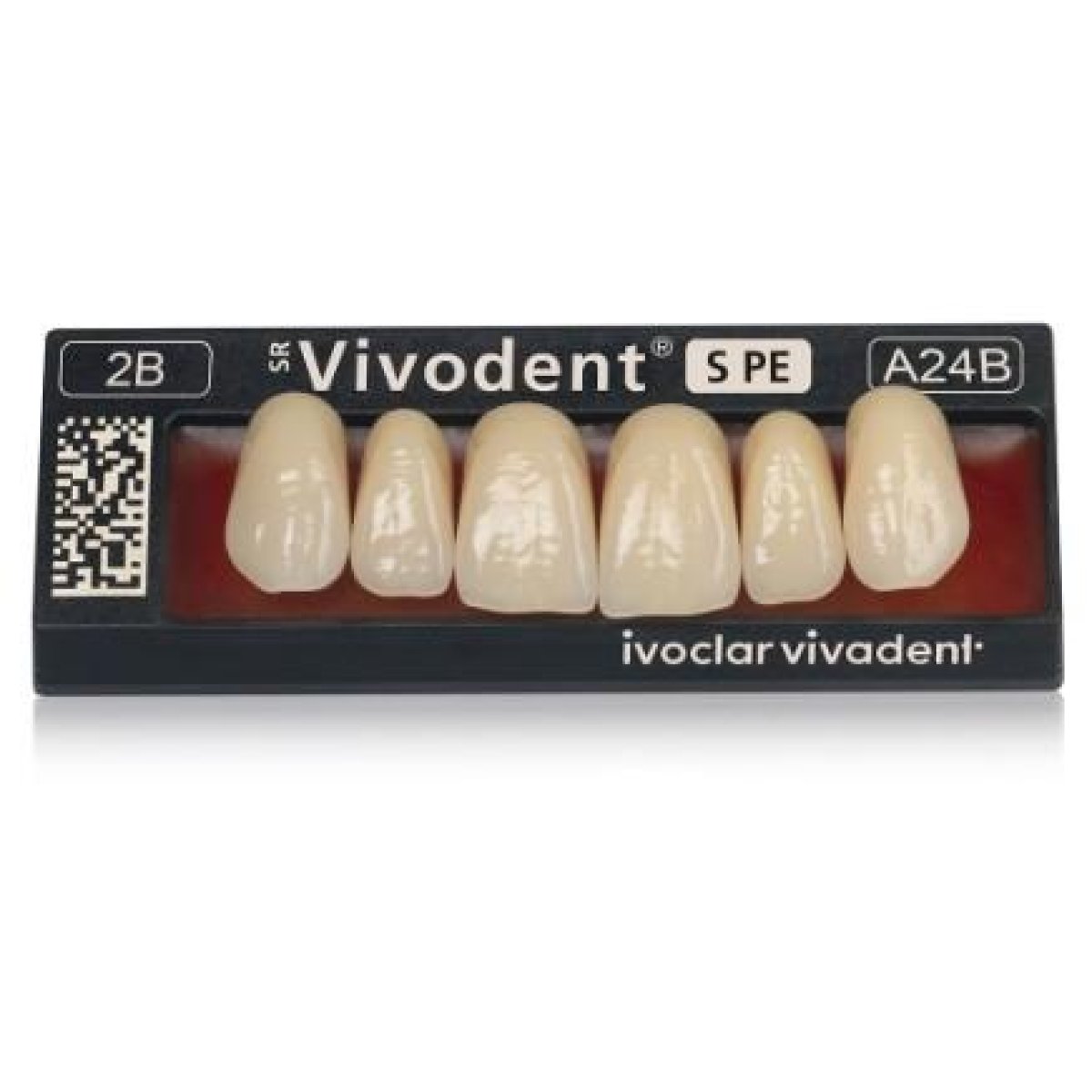 Sr Vivodent S Pe Obere Frontzähne A44 4C 1 Set X 6 Zähne