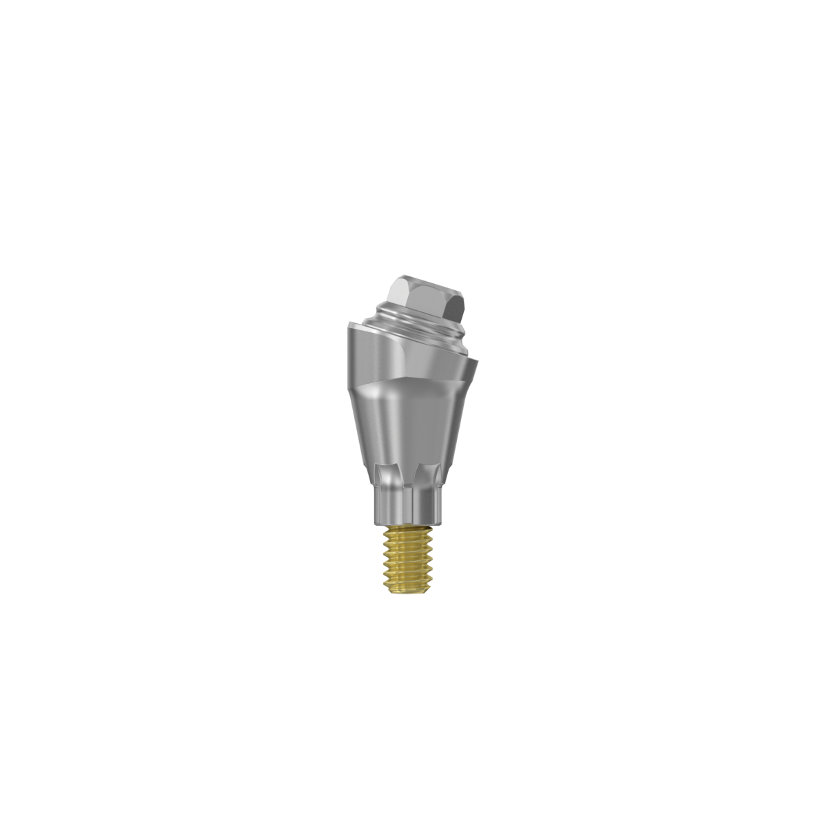 MultiBase Abutment EV (M) 2.5 mm 17˚