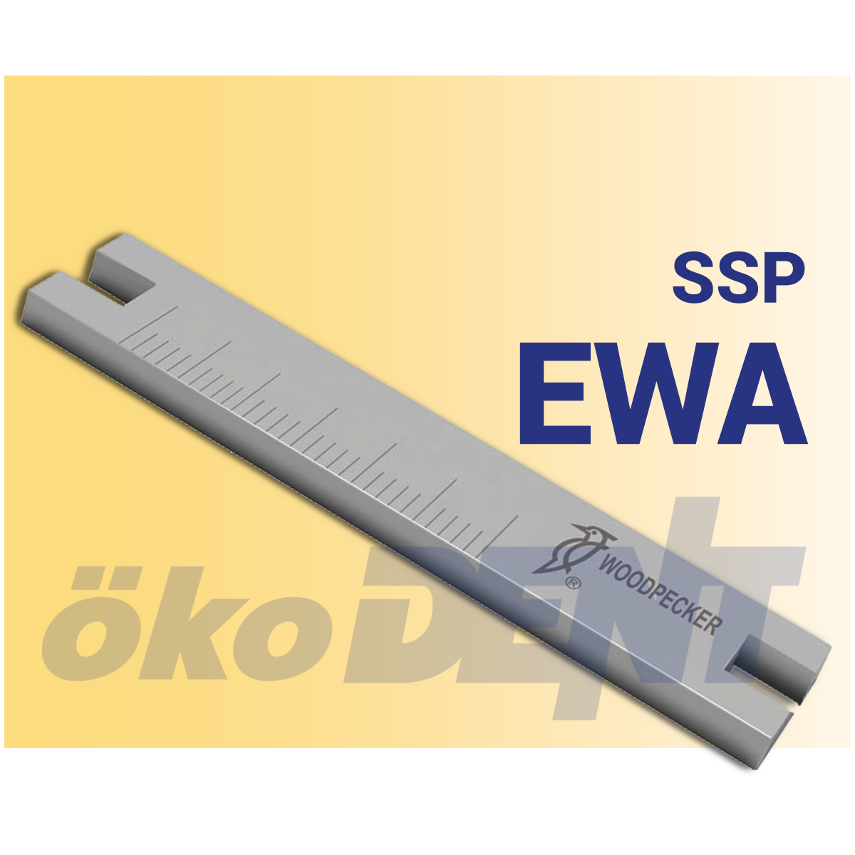 Feilenschlüssel für Schallspitzen (kompatibel für alle Systeme) SSP EWA, 1 Stück im Beutel